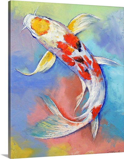 Butterfly Koi Fish