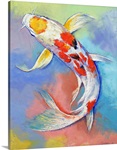 Butterfly Koi Fish