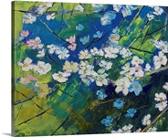 Cherry Blossoms