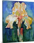 Dutch Iris