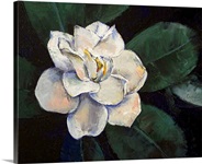 Gardenia Oil Painting