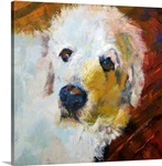 Great Pyrenees