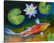 Hi Kohaku Koi