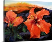 Hibiscus Volcano