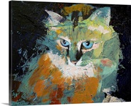 Himalayan Cat
