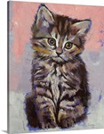 Little Kitten