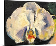 Moon Orchid