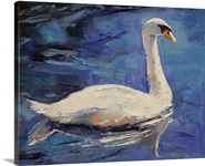 Mute Swan