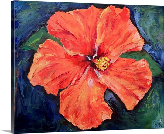 Orange Hibiscus