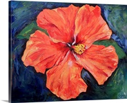 Orange Hibiscus