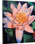 Pink Water Lily