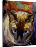 Seal Point Siamese