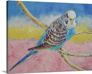 Sky Blue Budgie