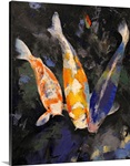 Three Koi Fish