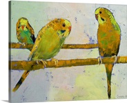 Three Parakeets