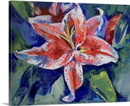 Tiger Lily