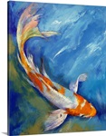 Yamato Nishiki Koi