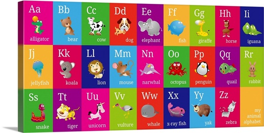 Animal Alphabet