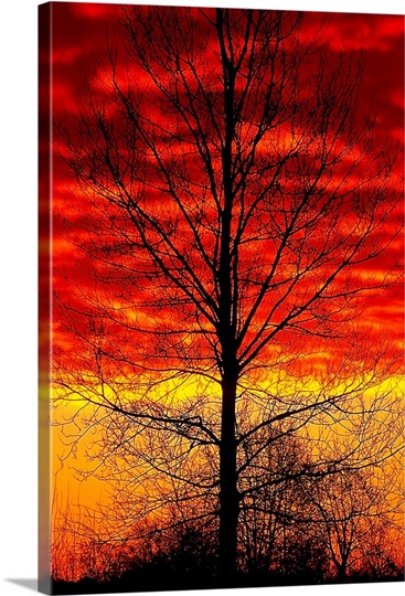 Blazing Sunset