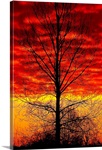 Blazing Sunset