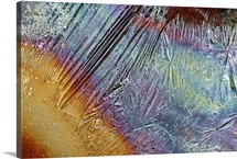 Oil on Foil