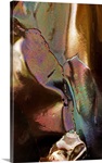 Rainbow on Copper