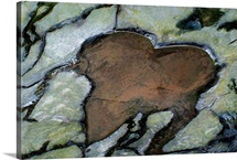 Rock of Love