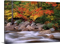 Autumn along Swift River White Mountains National Forest New Hampshire