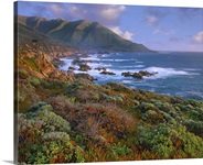 Cliffs and the Pacific Ocean, Garrapata State Beach, Big Sur, California