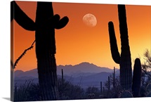 Kitt Peak under moon from Saguaro National Monument, Arizona