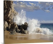 Lover's Beach with crashing waves, Cabo San Lucas, Mexico