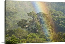 Rainbow over rainforest canopy, Costa Rica
