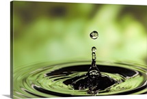 Ripples radiating out from drop of water splashing into calm pool
