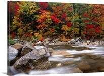 Wild river in eastern hardwood forest White Mountains National Forest Maine