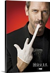 House (TV) (2004)