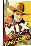 King Cowboy (1928)