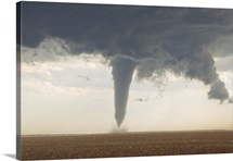 A classic spring tornado developed from a supercell thunderstorm