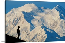 A hiker silhouetted against snow-covered Mount McKinley, Denali National Park, Alaska