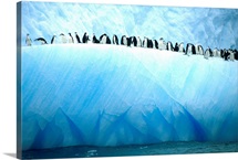 Chinstrap penguins lined up along a blue iceberg