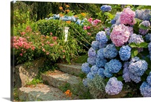 Flowers in a Cape Cod garden with stone steps