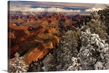 Fresh snow at the South Rim, Grand Canyon National Park, Arizona