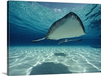 Grand Cayman Island, Cayman Islands