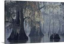 Lake Verret, Atchafalaya National Wildlife Refuge, Louisiana