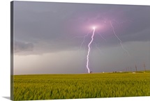 Lightning storm produces intense purple lightning bolt over a field