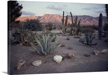 Nevada