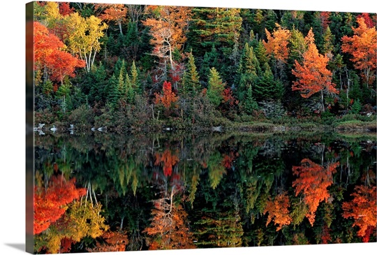 Reflection of autumn foliage in water, Canada