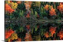 Reflection of autumn foliage in water, Canada