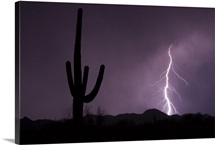 Single lightning bolt strikes in the desert during monsoon season