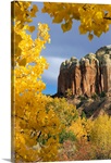 The yellow leaves of fall frame a rock formation, Santa Fe, New Mexico