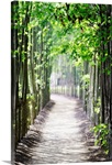 Arbor Path
